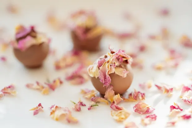 פדלאדה10 קזינו אפליקציית Android/iOS